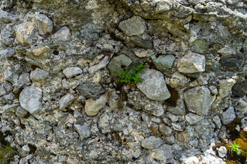 Rocks in Bucegi Mountains,  Bucegi National Park,  Romania