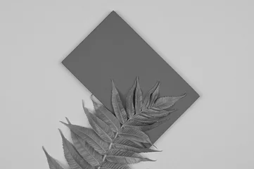 Modische ultimative graue Pantone-Farbe des Jahres 2021. Grautöne © Tatsiana