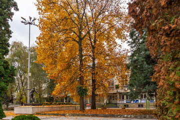 Naklejka premium Town Hall at the center of town of Montana, Bulgaria