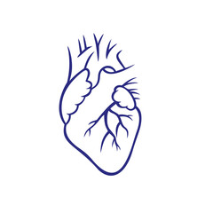 Human heart symbol. Vector illustration.