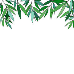 Fototapeta premium Hand drawn illustration with bamboo stem and leaves. Set of bamboo tree leaves. Hand drawn botanical collection.