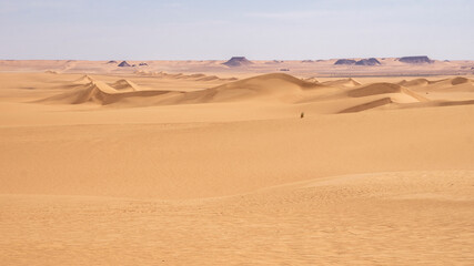 Fototapeta na wymiar Panoramic photograph of dune with dry vegetation, Sahara Desert, Chad, Africa