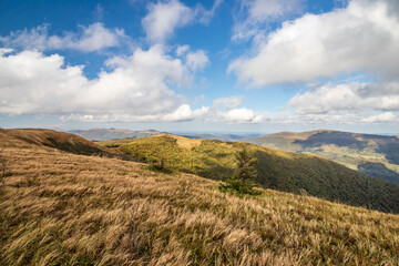 Autumn in the mountains. Bieszczady.  Wielka Rawka  Mountain Range