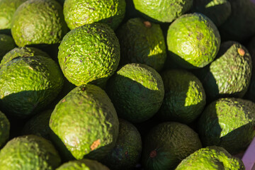 Food fruit fresh green avocado background. Fresh avocado pattern for sale in market. Agriculture and fruits product. Selective focus.