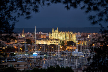 Fototapeta premium Palma de Mallroca cathedral illuminated in the evening