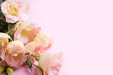 Pink eustoma flowers on a pink background. Valentine's Day and wedding concept. View from above