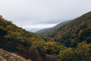 landscape view in autumn cloudy day on a yellow-green forest growing in the hills.