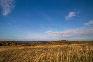 Obraz premium field and blue sky