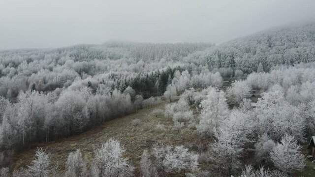 Slowly flying aerial shot over countryside and thick mixed snowy forest in middle of winter mountains. Pristine and clean peaceful scenery. Exploration and travel destination