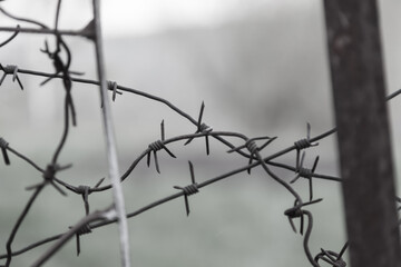 Spikes of wound old iron wire with sharp edges on a metal fence on a background of green grass. Self-isolation and danger zone, private protected area.