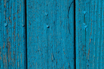 Background of a wooden fence with vertical boards with blue peeling paint close-up, the old door of a village fence.