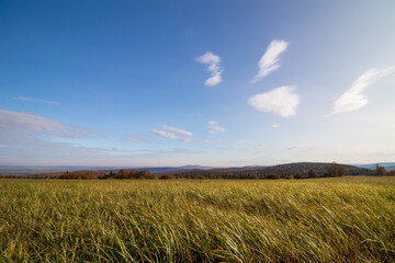 Obraz premium field and blue sky
