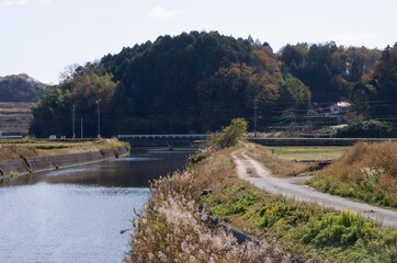 Fototapeta na wymiar 砂川と多賀神社の森