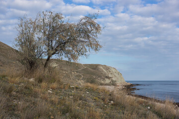 Fototapeta na wymiar The Crimean Mountains near Feodosia and Ordzhonikidze, the Black Sea, Eastern Crimea.
