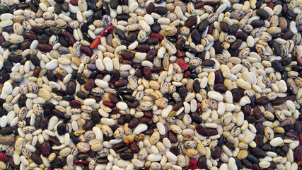 Red and white bean pellets. Background from raw beans.