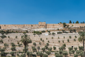 Fototapeta na wymiar The Kidron Valley, separating the Temple Mount from the Mount of Olives in Jerusalem, with Jewish graveyard and olive trees, and background of golden gate and wall of the Old City