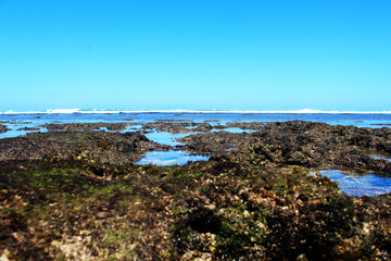Fototapeta na wymiar Tropical beautiful beach with waves and rocks. Nature background.