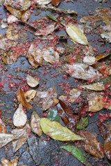 Red flowers and leaves fall on the ground in a seasonal garden.