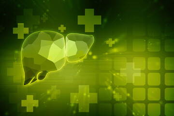 Realistic human liver 2d illustration
