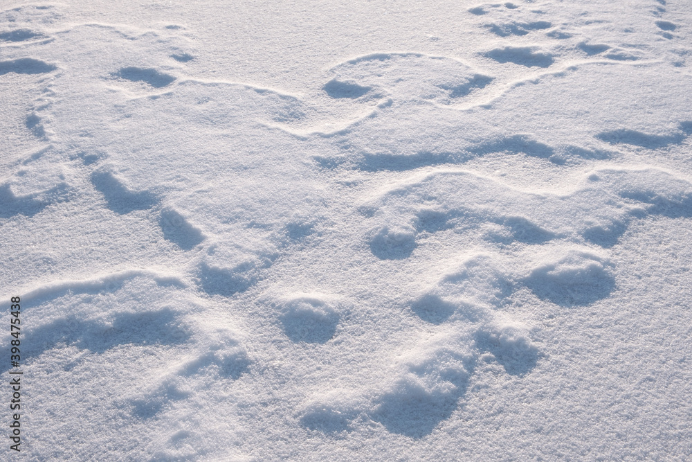 Poster white fine ice and snow surface texture background texture, winter background