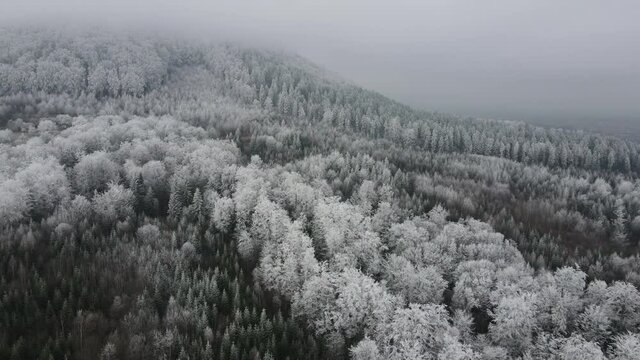 Aerial drone view of beautiful frozen forest tree. Amazing landscape with winter mountains. Pristine and clean peaceful scenery. Exploration and travel destination