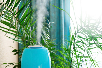 the humidifier in the blue case is in the room to increase humidity and health of plants and people...