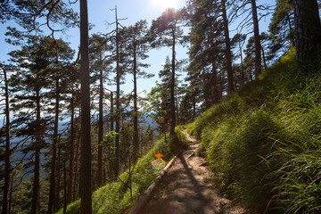 Trail at Herzogstand mountain in Bavaria, Germany