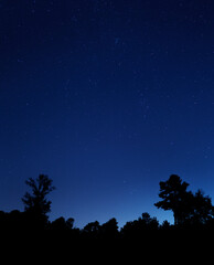 Stars in the night sky over Raeford NC