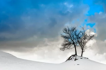 Foto auf Leinwand Snow landschap with tree © Nora