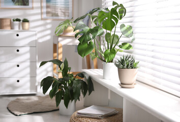 Beautiful potted plants on window sill at home