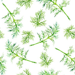 Watercolor seamless pattern dill herb isolated on white.