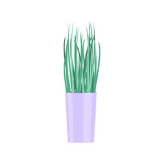 vector illustration home plant icon on pot on white background