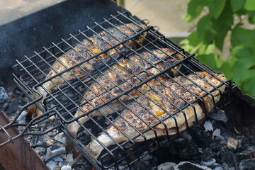Fish, dorado on the grill
