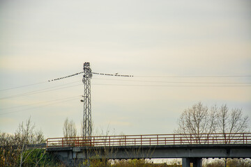Fototapeta premium Lines on the river