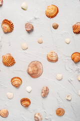 Marble background with sea seashells . Vacation pattern