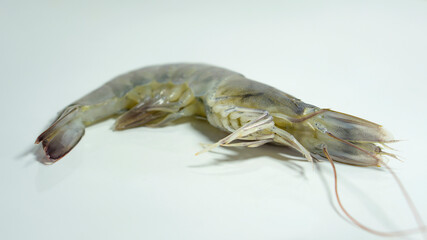 raw white shrimp laying on plate