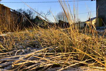 frost on yellowed grass in the village