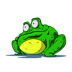 Frog on a white background. Vector illustration. An animal in the style of a cartoon