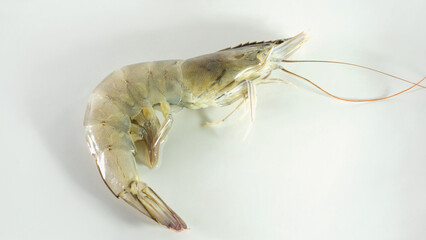 Whole body raw shrimp, fresh white shrimp