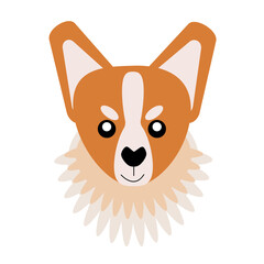 Vector icon portrait of a small dog drawn in the style of flat. Cute Corgi, dog logo. Vector illustration in cartoon style. Toy dog