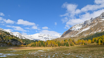 Paesaggi autunnale di montagna, con larici gialli, pini verdi e neve sulla montagna. Suggestivo paesaggio autunnale delle montagne