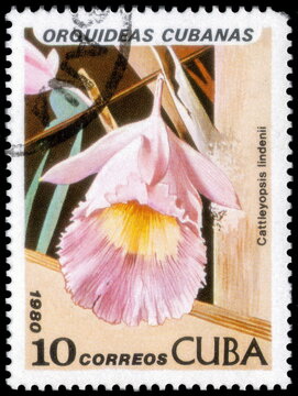 Postage stamp issued in the Cuba with the image of the Cattleyopsis lindenii. From the series on Orchids,  1980