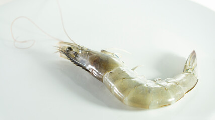 fresh shrimp on a white background