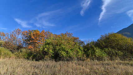 Paesaggio tipicamente autunnale delle campagne, con veduta di alberi rossi ed arancioni, molto bello.