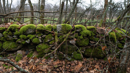 old house rocks foundations with moss  in forest