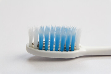 Close up old toothbrush and fungus isolated on white background