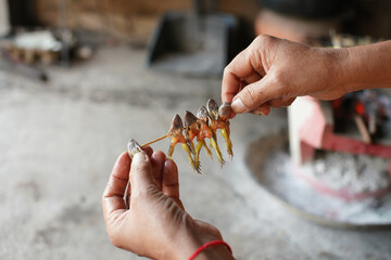 Small frog stab With wood To cook