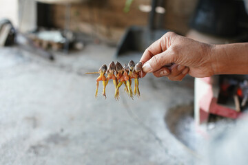Small frog stab With wood To cook