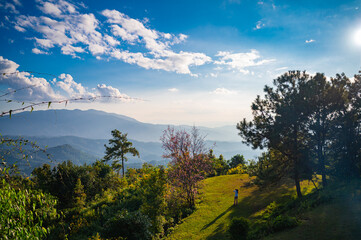 Good view in north of Thailand , Travel to the forest and mountains.