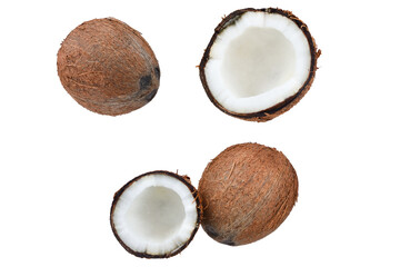 Coconut isolated on white background. Space for text or design.